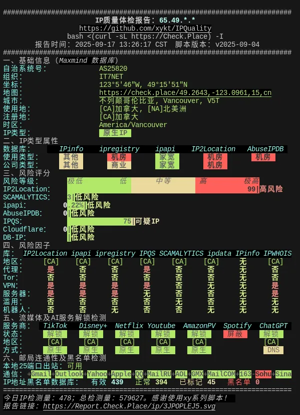 IP质量体检报告