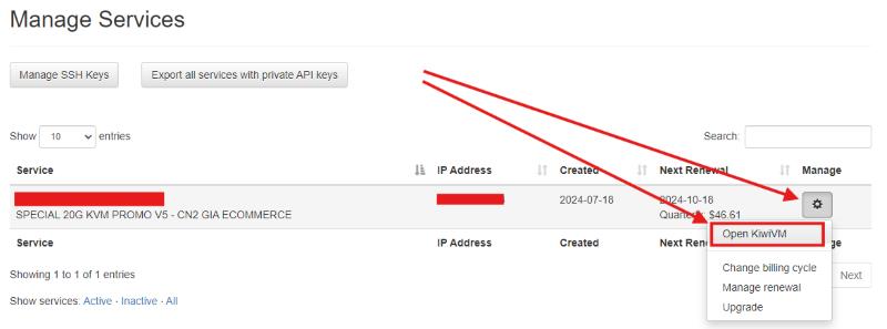 打开 VPS 的 kiwivm 控制面板